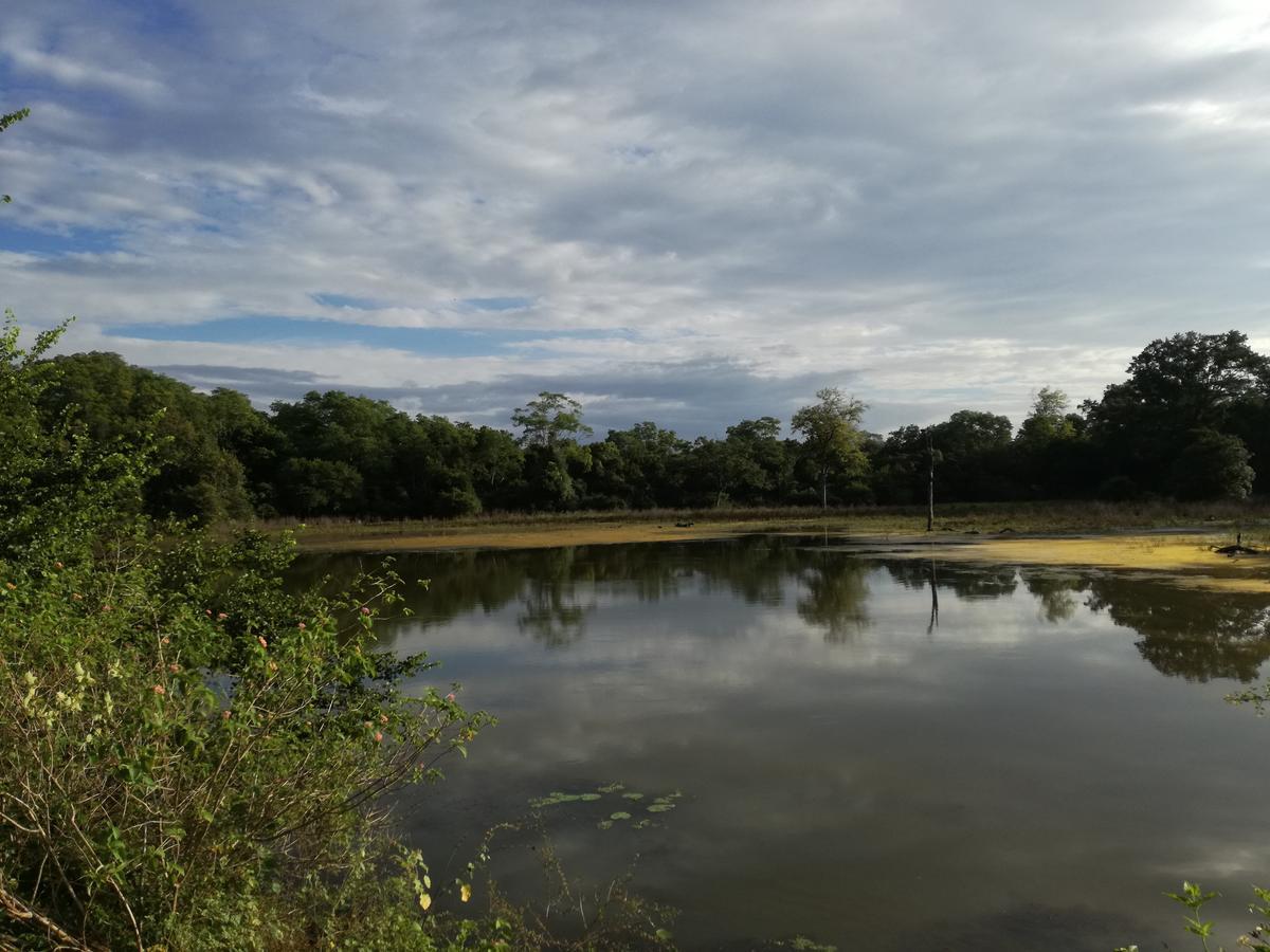 Induwara Safari Resort Udawalawe Buitenkant foto
