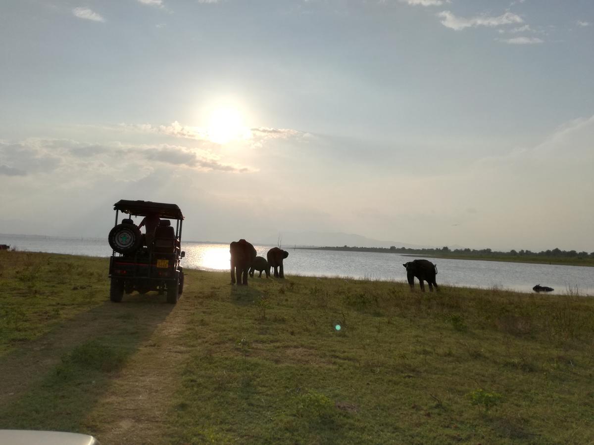 Induwara Safari Resort Udawalawe Buitenkant foto