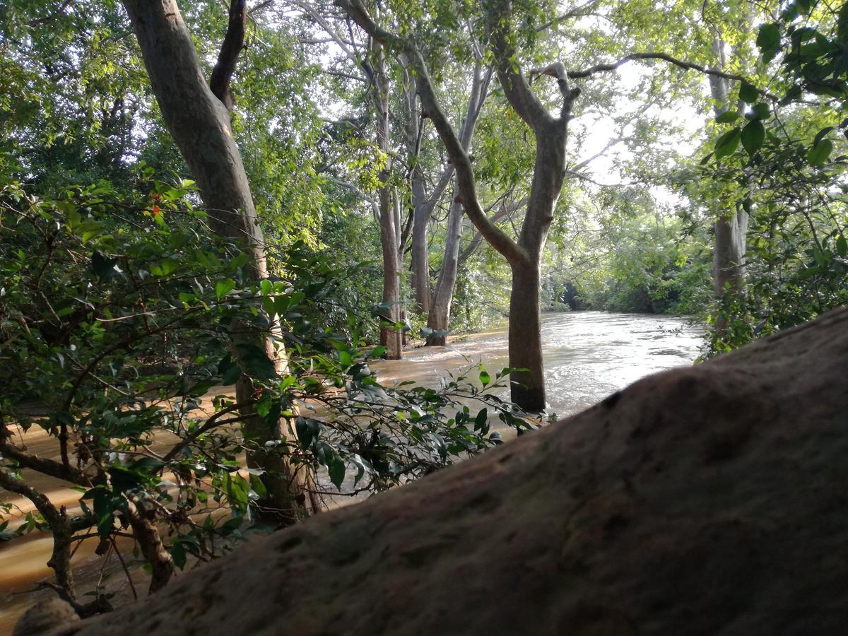 Induwara Safari Resort Udawalawe Buitenkant foto