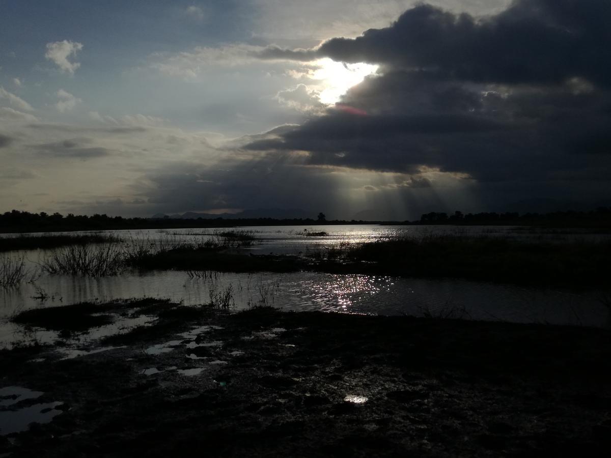 Induwara Safari Resort Udawalawe Buitenkant foto